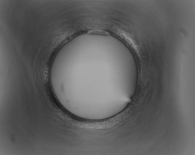 X0000116560017200912241623