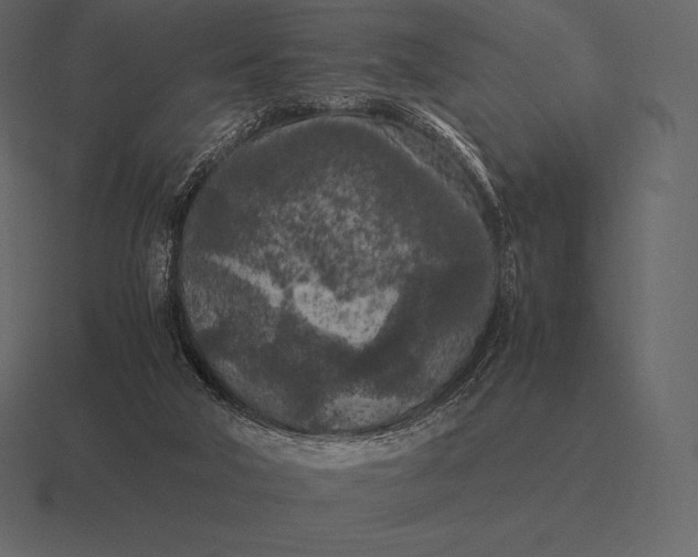 X0000116560018200912241623