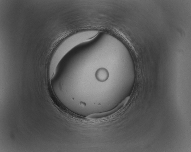 X0000116560019200912241623