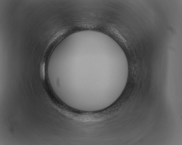 X0000116560020200912241623