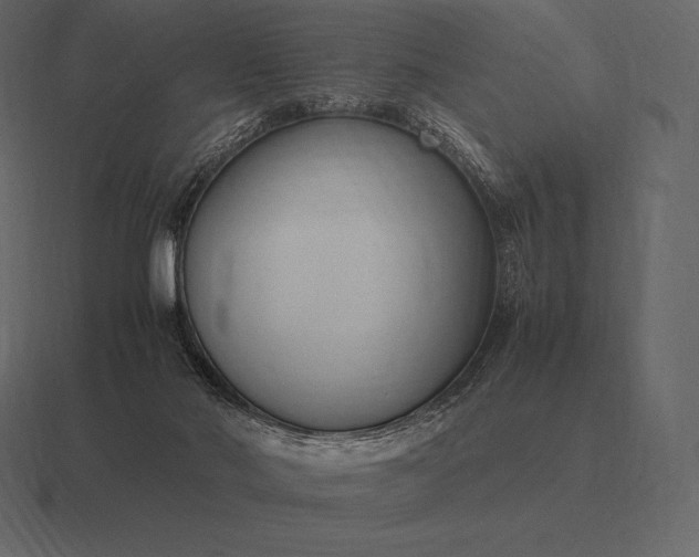 X0000116560022200912241623