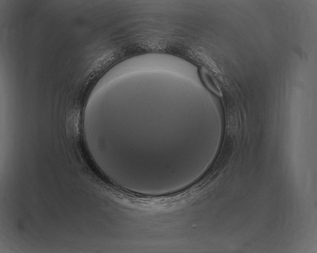 X0000116560023200912241623