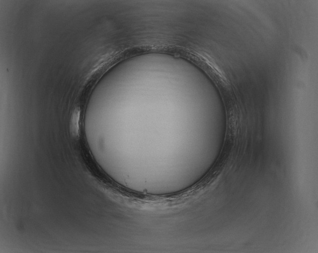 X0000116560024200912241623