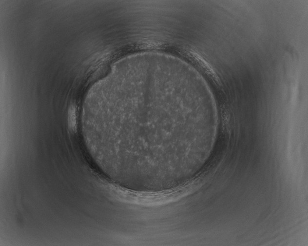 X0000116560026200912241623