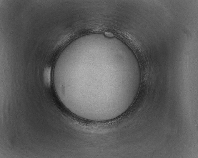 X0000116560028200912241623