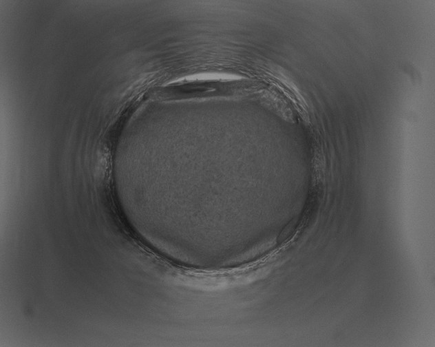 X0000116560029200912241623