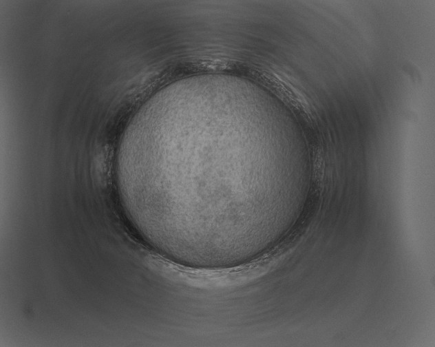 X0000116560030200912241623