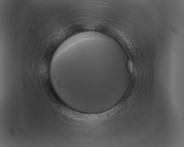 X0000116560031200912241623