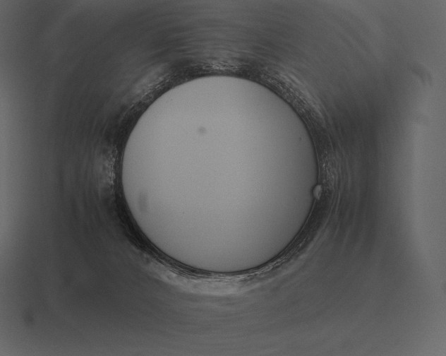 X0000116560032200912241623