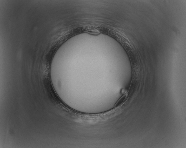 X0000116560033200912241623