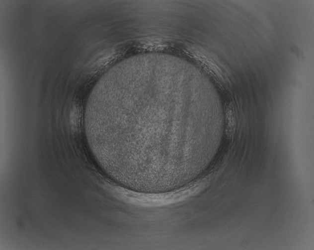 X0000116560034200912241623