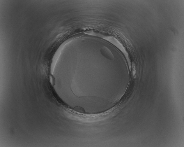 X0000116560035200912241623