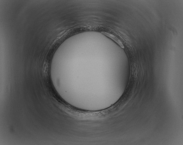 X0000116560036200912241623