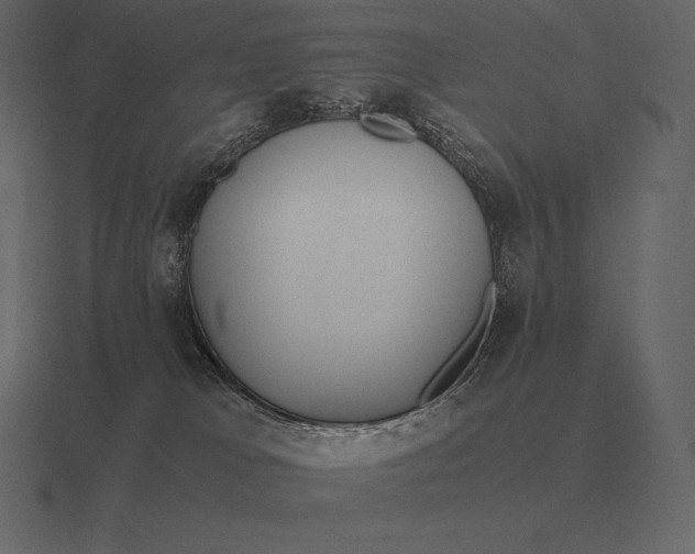 X0000116560037200912241623