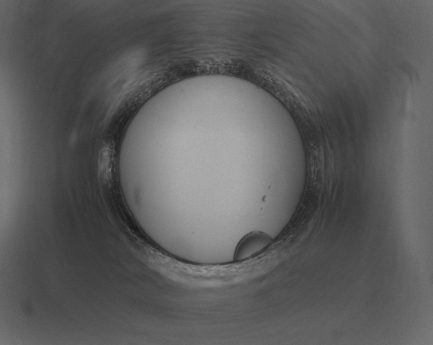 X0000116560038200912241623