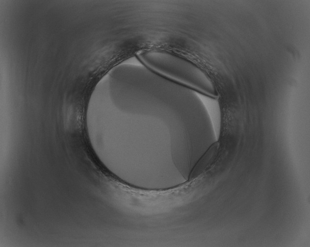 X0000116560039200912241623