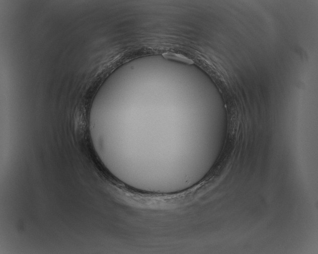 X0000116560040200912241623