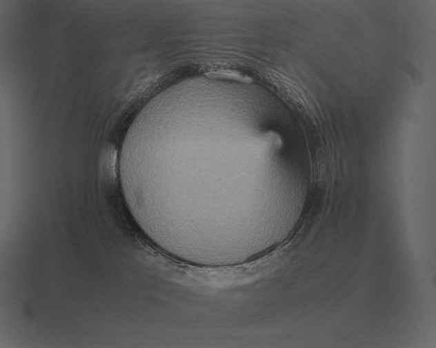 X0000116560041200912241623