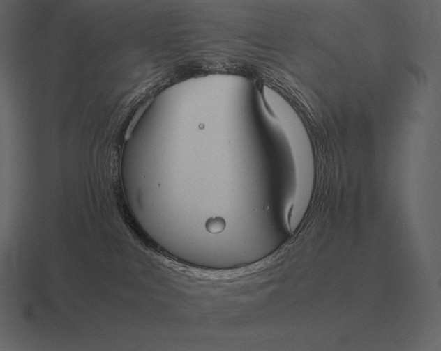 X0000116560043200912241623