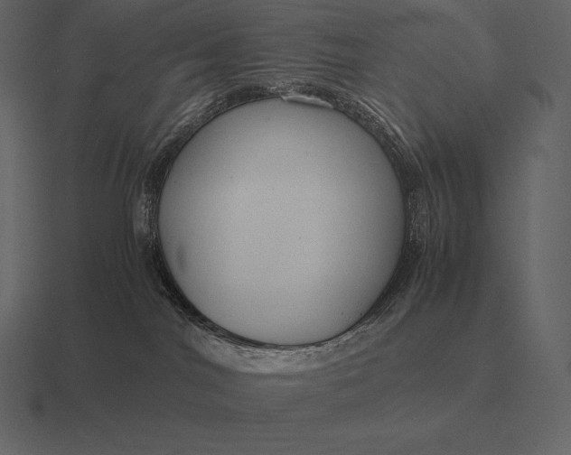 X0000116560044200912241623