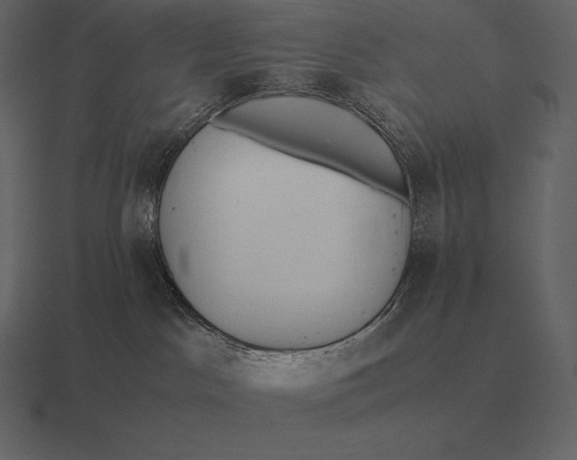 X0000116560045200912241623