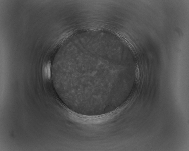 X0000116560046200912241623