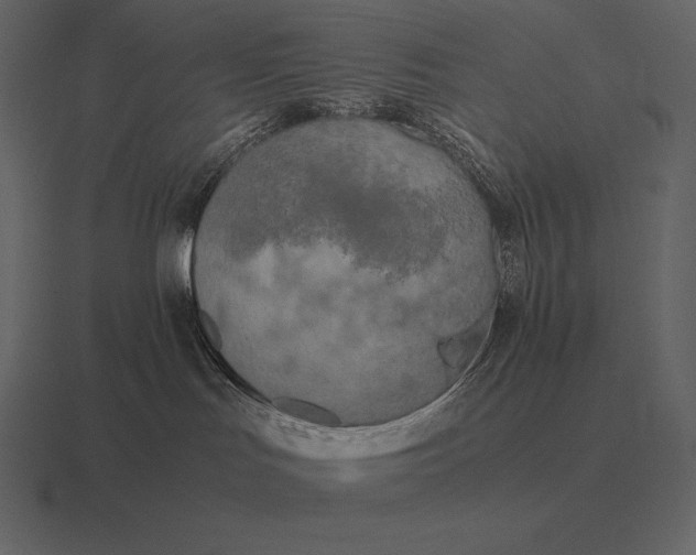 X0000116560047200912241623