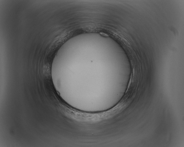 X0000116560048200912241623