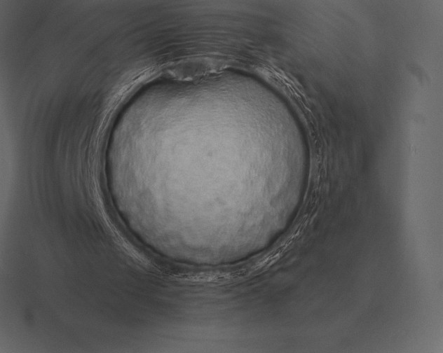 X0000116560049200912241622