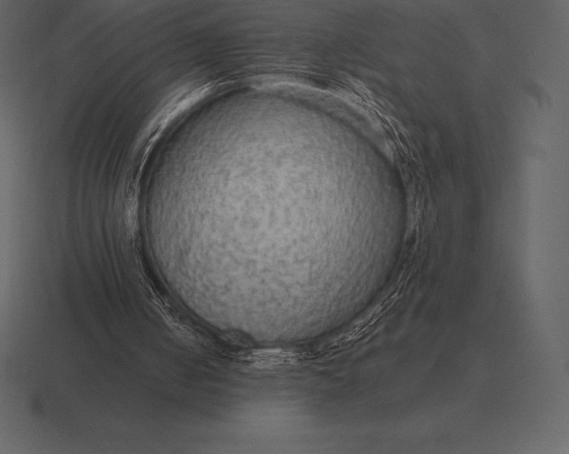 X0000116560050200912241622