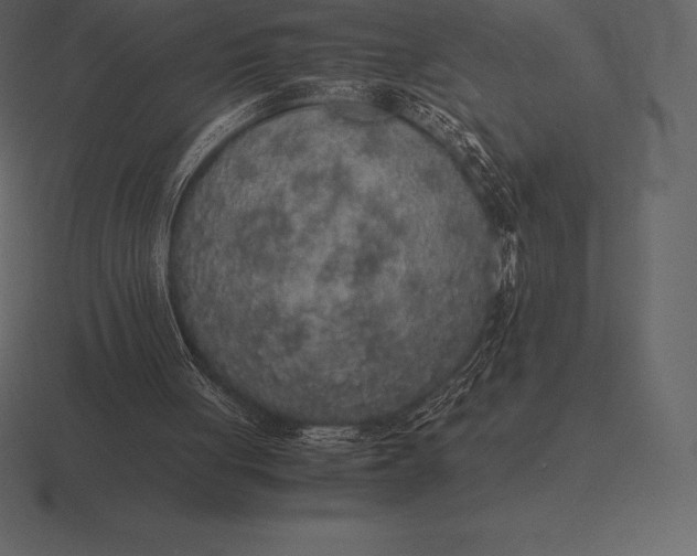 X0000116560051200912241622