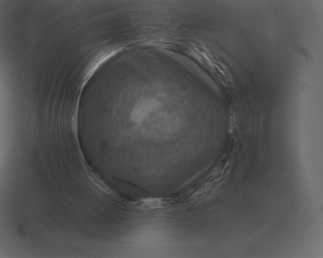 X0000116560052200912241622