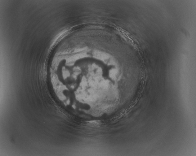 X0000116560053200912241622