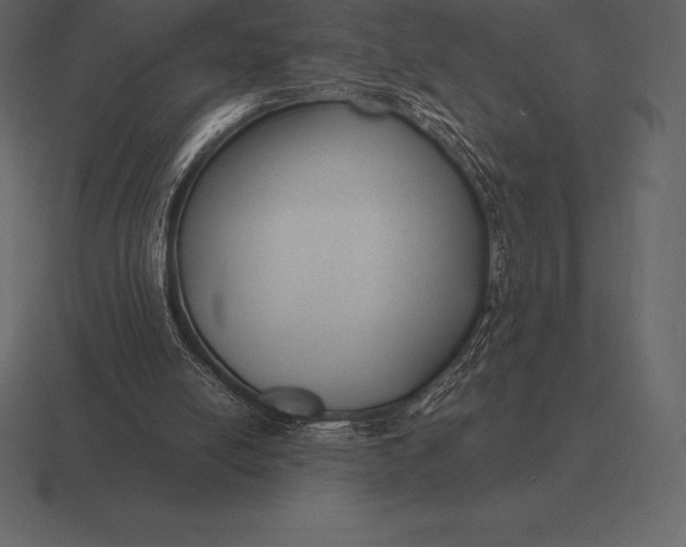 X0000116560054200912241622