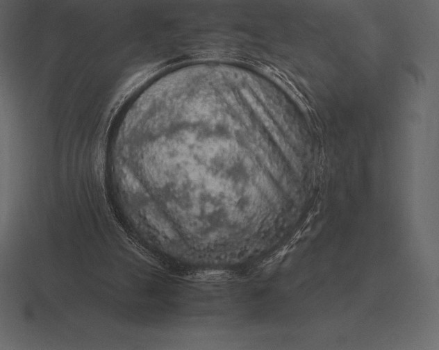 X0000116560055200912241622