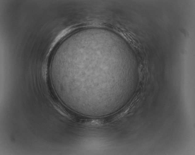 X0000116560056200912241623