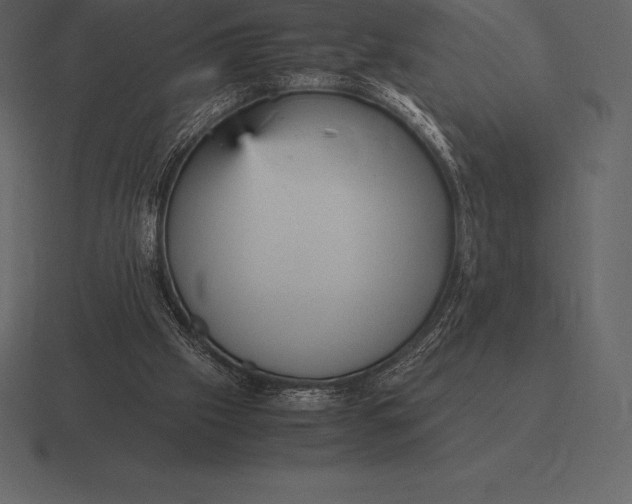 X0000116560057200912241623