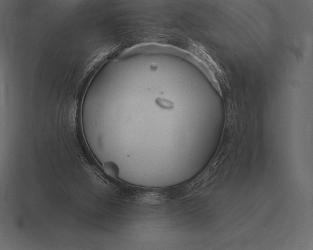 X0000116560058200912241623