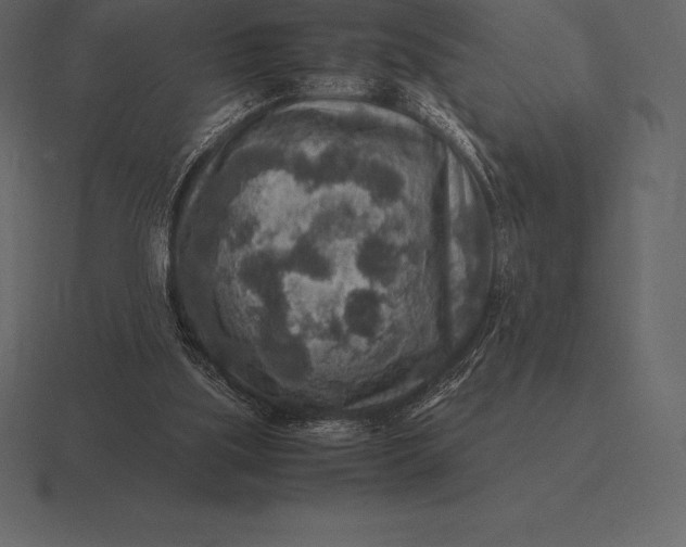 X0000116560059200912241623