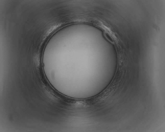 X0000116560060200912241623