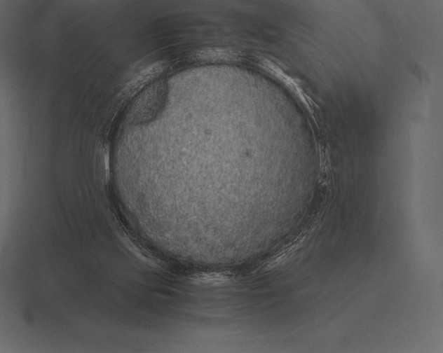 X0000116560061200912241623