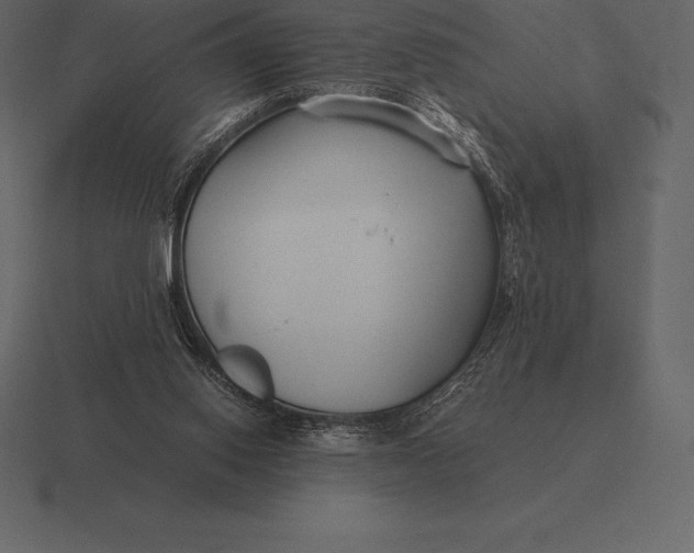 X0000116560062200912241623