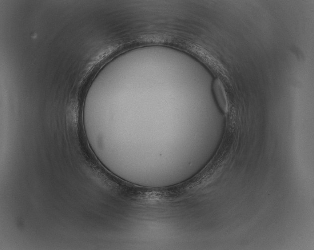 X0000116560064200912241623