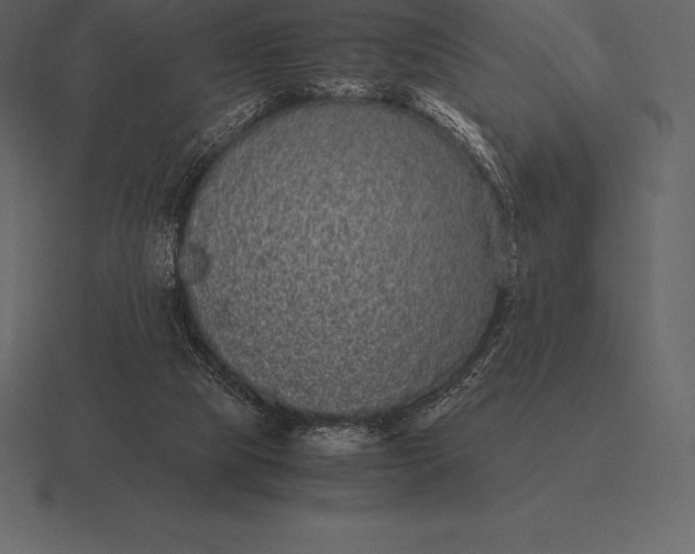 X0000116560065200912241623