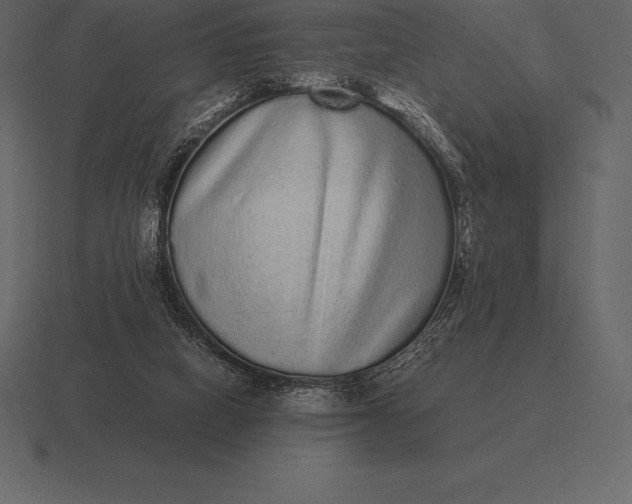 X0000116560066200912241623