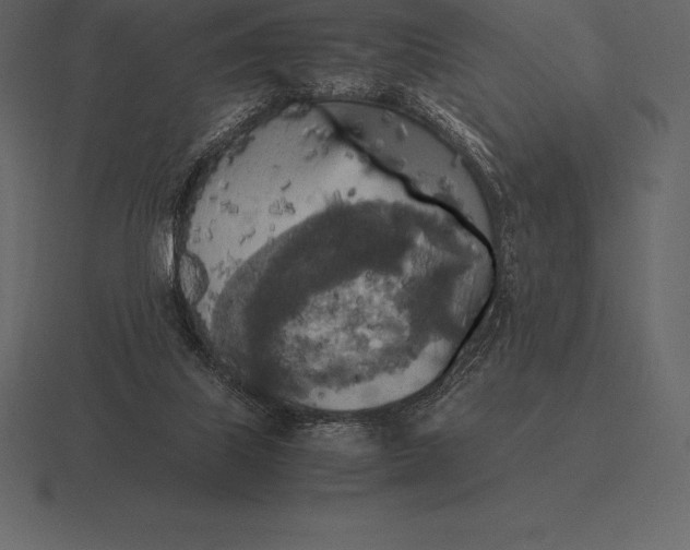 X0000116560067200912241623