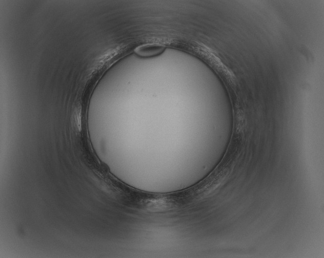 X0000116560068200912241623