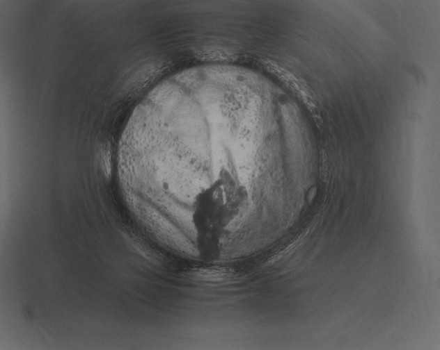 X0000116560069200912241623