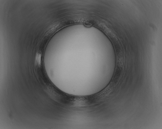 X0000116560070200912241623