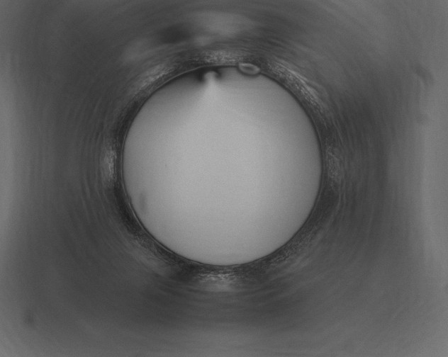 X0000116560071200912241623